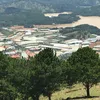 tinhlinh82