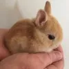 idonutgiveafart