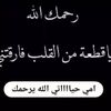 user4534532381463