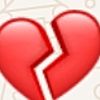 user79495411657504