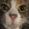 riley_np