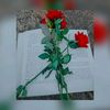 lakshika25180