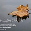 shohib7526