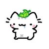 user551748790