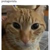 arutgarcia