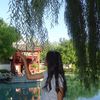 ashmi_1223