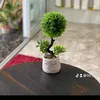 mr.yuki95
