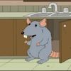 familyguyrat