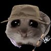 hamztirr