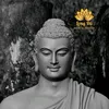 canhdepmientay5
