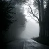 xkt_145