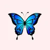 butterflylover_22