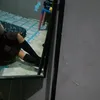 atelexi3