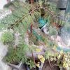 mujahidmujahid7300
