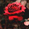 user3470394311970