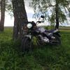 moty_2284