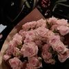 anbia_a