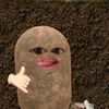 ffieshy4af_