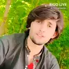 muhammadjavid253