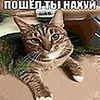 jonnycrack66