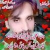 shahzadrajpoot441