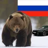 bear_2.00