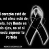 reinasalmeron5
