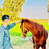 marwan_7_4