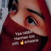 seenaa.arsii38