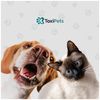 toxipets