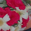 fayza4446