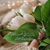 user5228418240718
