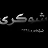 sheladze027