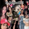 el_belico801
