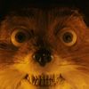 fantasticmr.fox144
