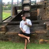 flviovinicius29