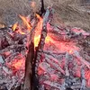 ali_sndi12