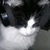 madudarkvx