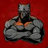 CACHORROLOUCO81GAMES