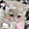 no_one991