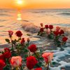 jasminsoul20