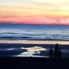 ppulbatu4