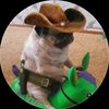twitch_negr