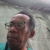 lulutwidayat