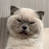 tamakunburnface