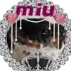 user3560280027103