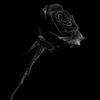 ytta.ytta7