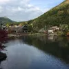 buricewang