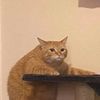 meetaehuay