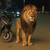 omarebrahim56
